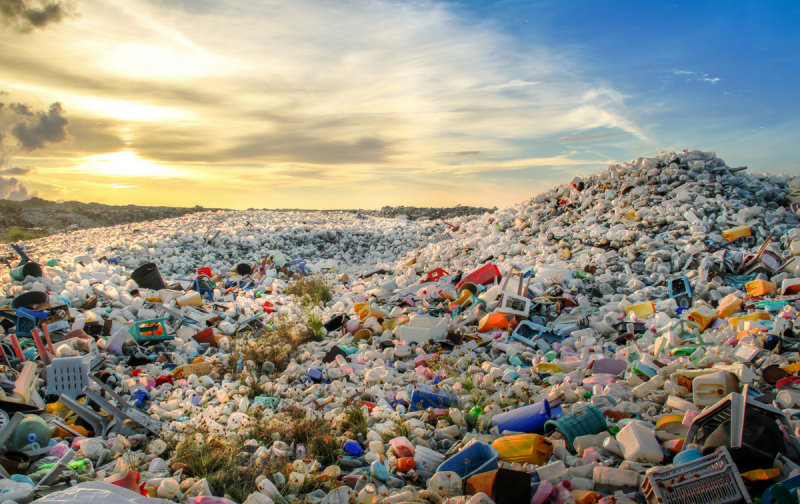 A Look at Plastics’ Toll – And What We Can Do About It