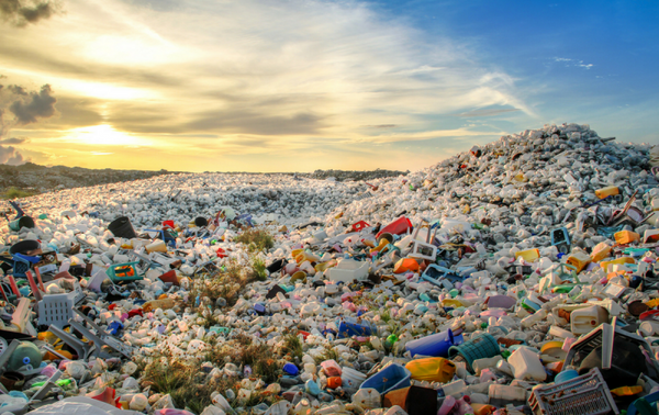 A Look at Plastics’ Toll – And What We Can Do About It