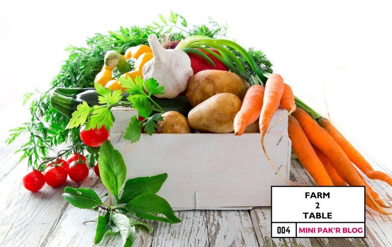 Farm to Table: 4 Interesting Food Logistics Facts You Should Know