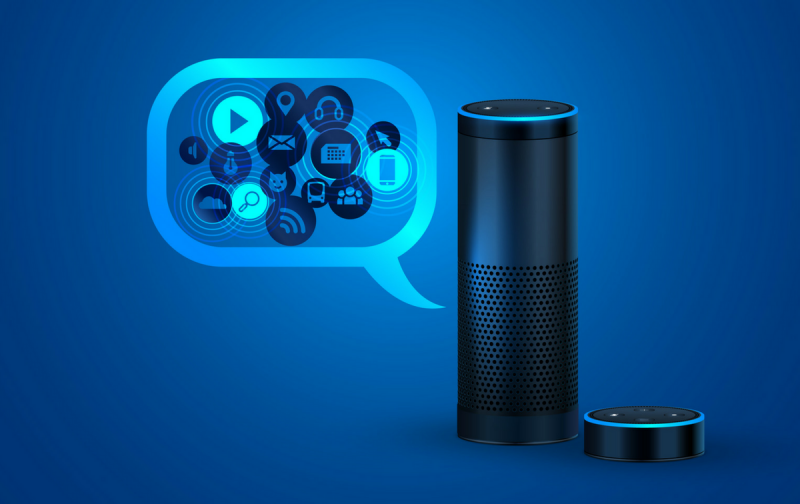 The Rise of Voice Shopping